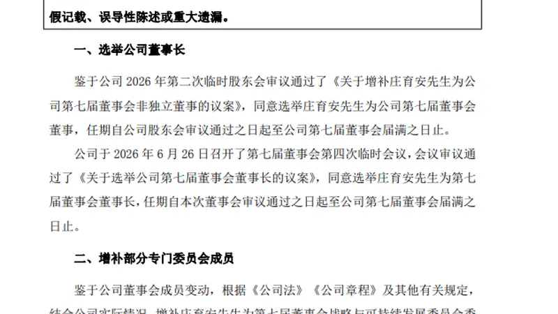 知名上市光伏企业董事长换人！