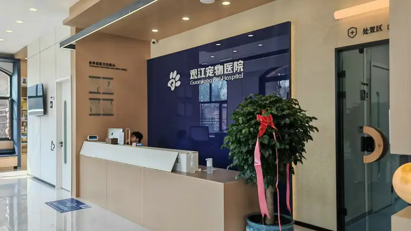 热议哈尔滨做酒店设计提升客户体验的公司，哪家口碑更好？