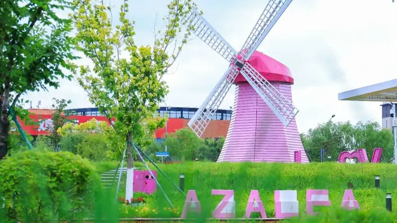 鸡西杜鹃花公园：花海中的文化绿洲
