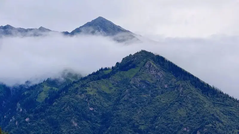 暑期避暑新趋势:拥抱清凉,热门航线涌向高纬度避暑胜地
