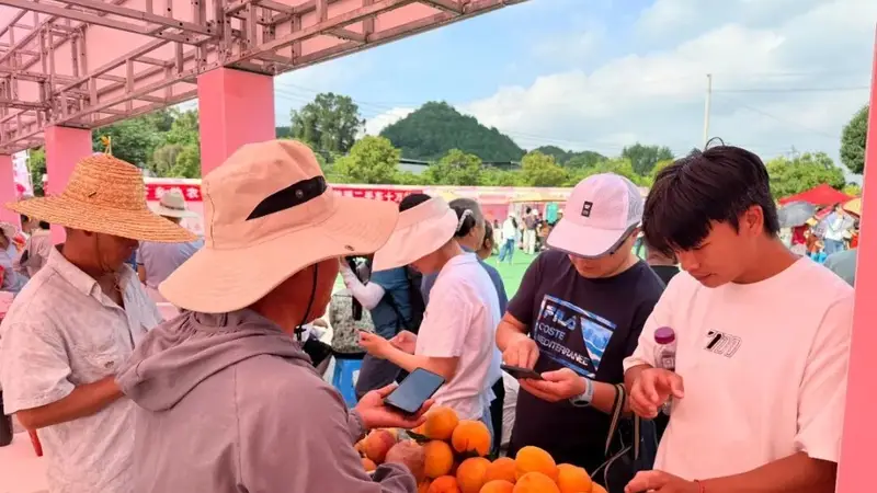 周末去哪儿玩？来永乐“桃”你欢心！附全攻略→