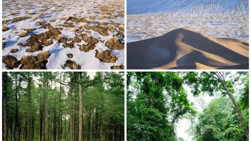 古城里的国风桌游：于草木间踏遍山河的雅致科考