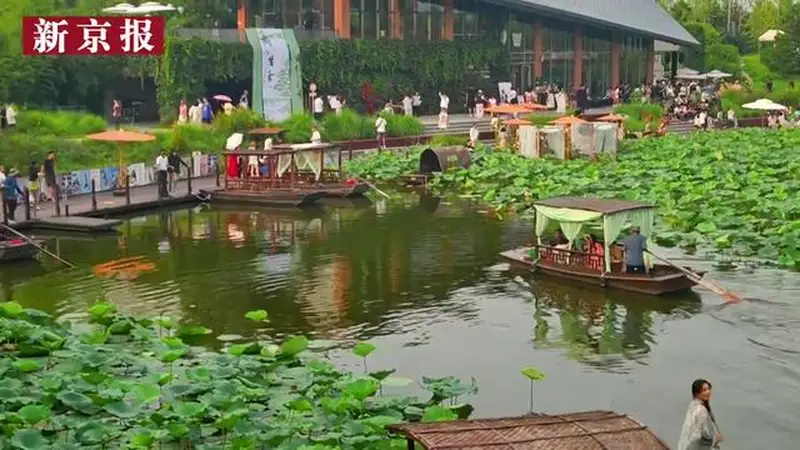 视频｜荷间诗乐交织，点亮温榆河最美夏夜
