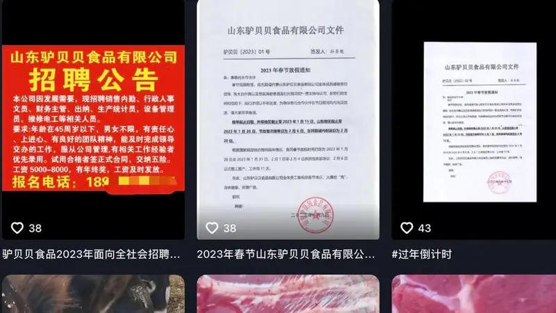 200克袋装“卤驴肉”仅售约10元 企业用猪肉冒充驴肉销售过亿余元，两实控人被判无期