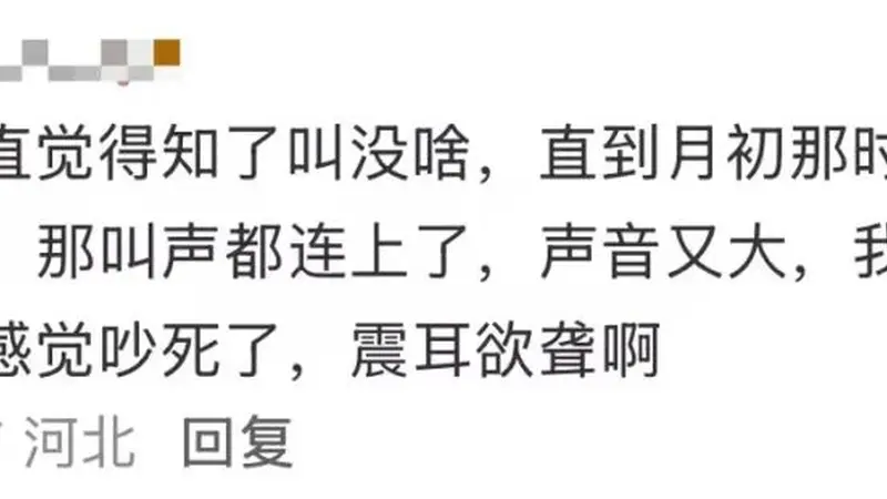 多人因蝉鸣听力受损,医生紧急提醒