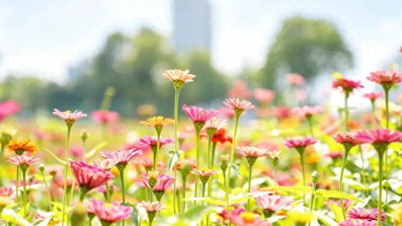 北京通州潞邑花海藏文艺 花间云趣乐园携夏日光影与童乐漫城
