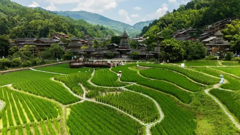 立秋时节 贵州肇兴侗寨景致宜人