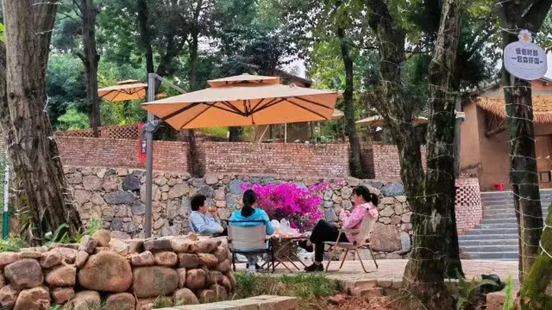 不止19.7℃的夏天!曲靖这场发布会,给全国旅居客递上一份“四季情书”