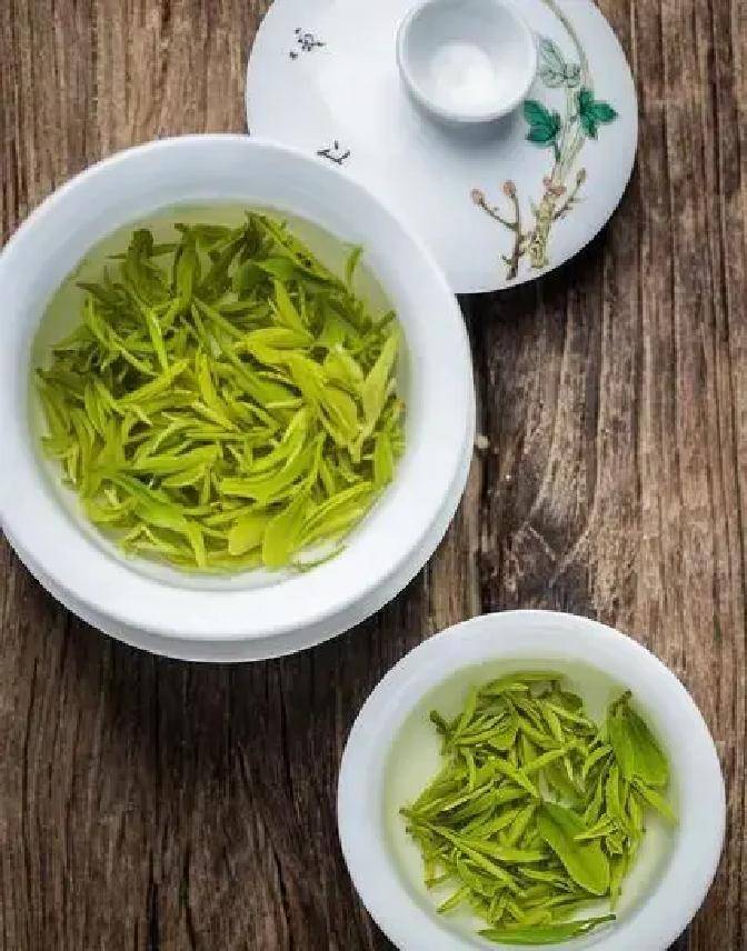 三伏天适合喝哪些茶？