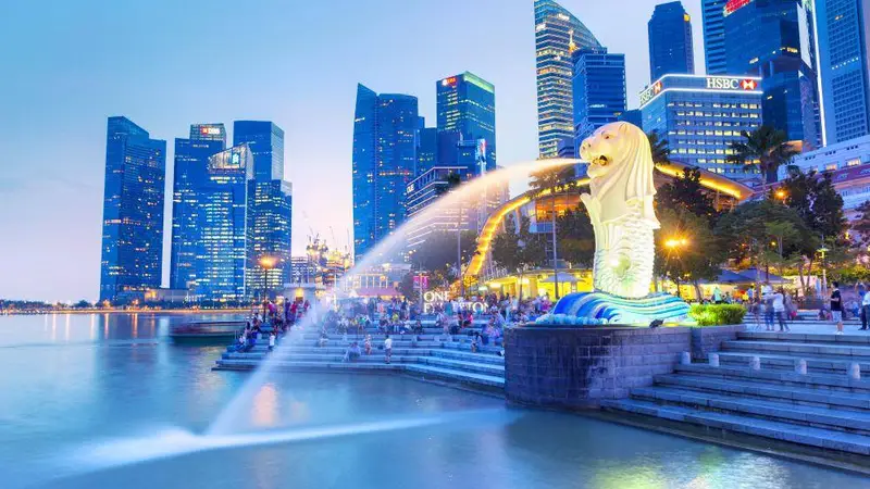 同一座狮城，两种雨季：商务考察团的文化交流体验为何天差地别？