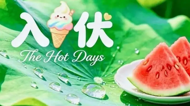 明日入伏，三伏天清淡祛湿一日三餐食谱，舒舒服服过夏天！