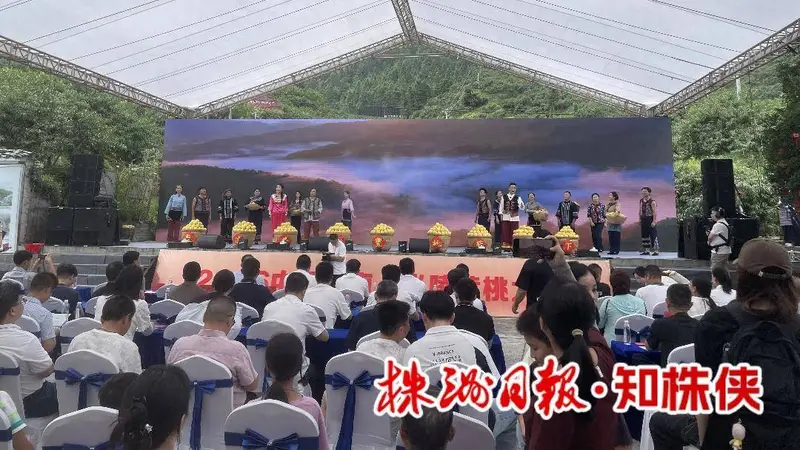 第四届炎陵黄桃文化季启幕！推出三条精品路线
