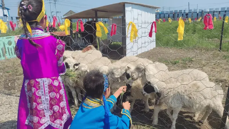 2026年8月呼伦贝尔黑头山俄罗斯族民俗最新体验：正宗访牧户场地推荐
