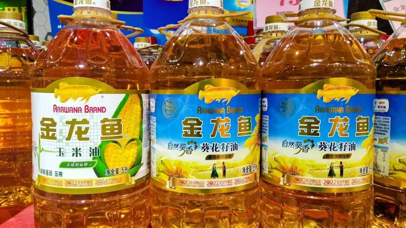 金龙鱼,仍未等到第二曲线