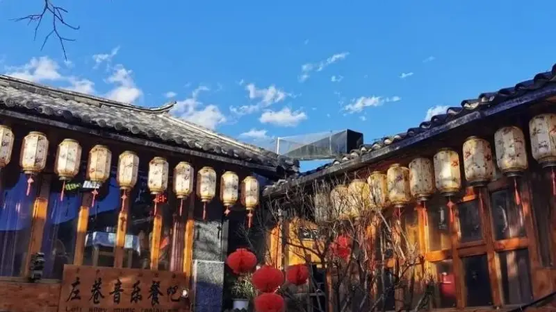 旅游乱象后续！仅3天6家旅行社4个导游被查，网友直呼太解气