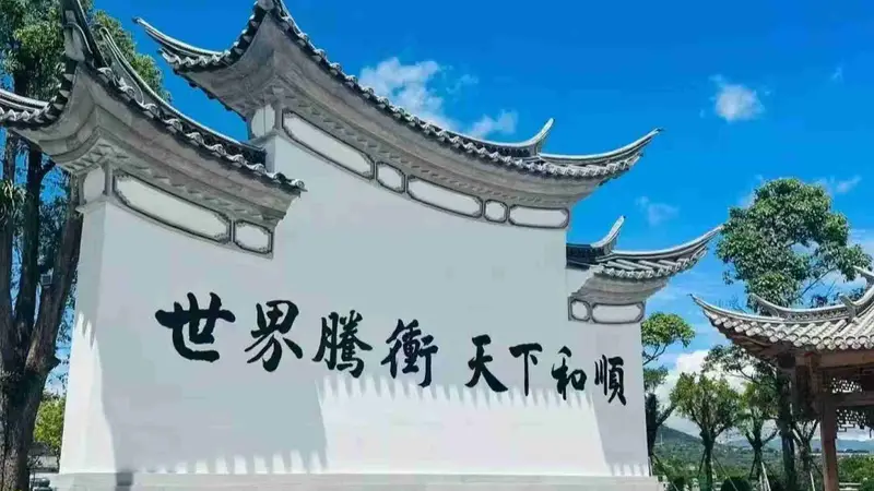 瑞丽6天5晚包车游车队：应用实践与专业路径
