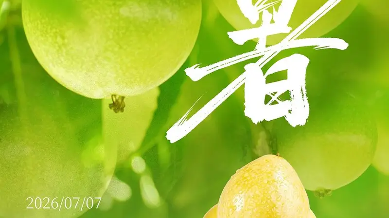 优·时节 | 小暑蝉声沸 百香蜜意长