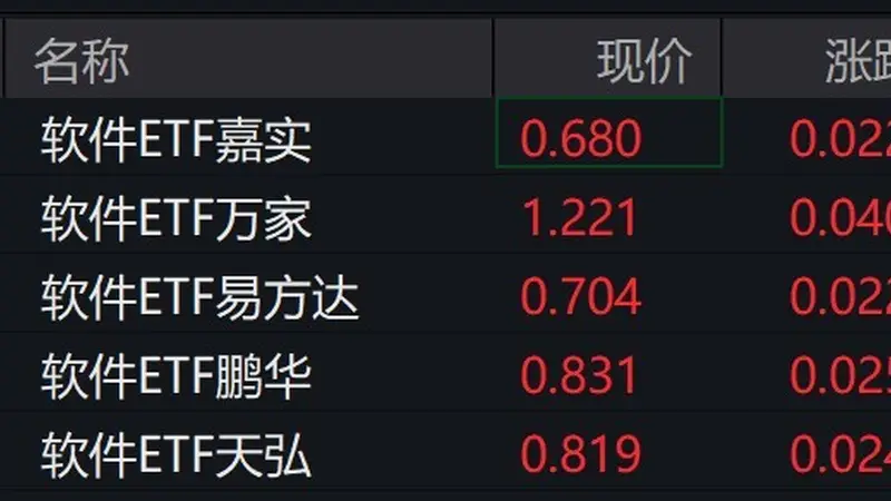 软件概念股走强,软件ETF涨超3%