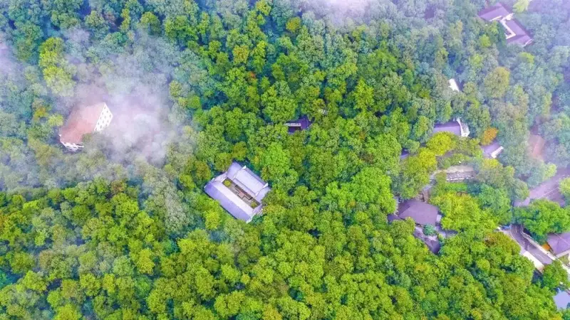 夏日出逃计划：直达大洪山21°C清凉秘境！