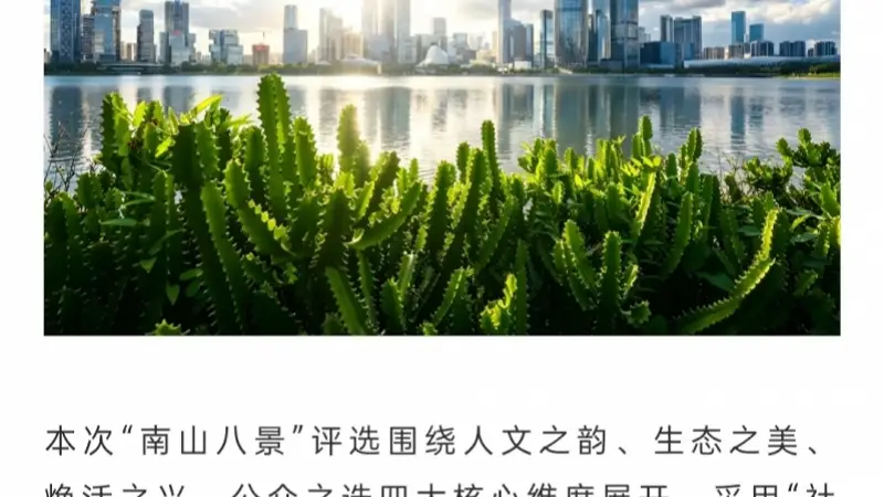 偏爱创新的深圳南山，玩了个最“古早”的创意