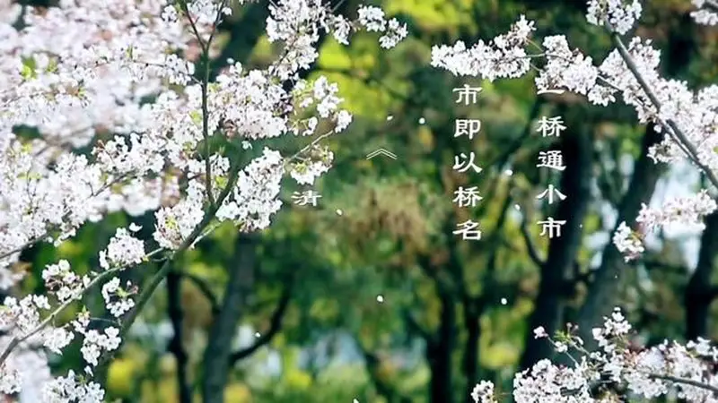 跟着档案去旅行 | 南湖凤桥:江南水乡的古风新韵