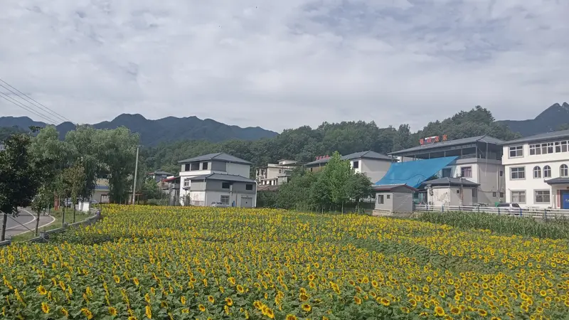 栾川山居:伏牛深处的半日闲