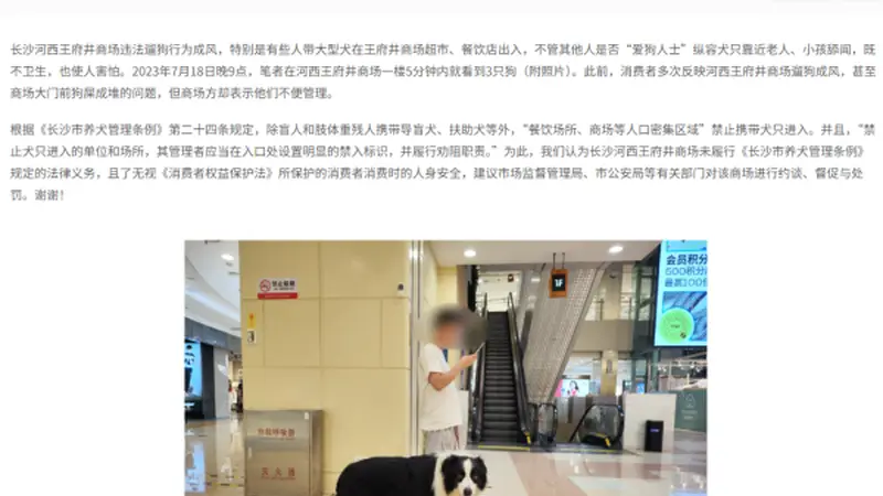 女子商场遛狗不拴绳惊扰他人被打耳光？少数人爱好不能凌驾多数人的感受