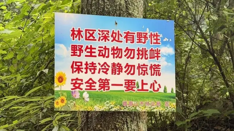 网红野景点隐患大,切勿拿生命冒险!