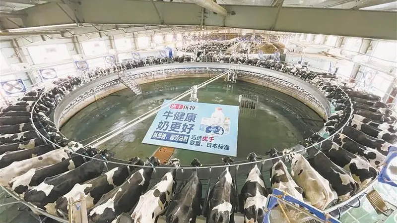龙江奶业全产业链升级打造核心竞争力