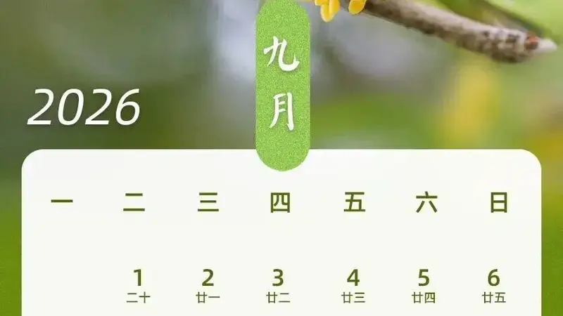 “请3天假能休13天”冲上热搜！网友：疯狂心动