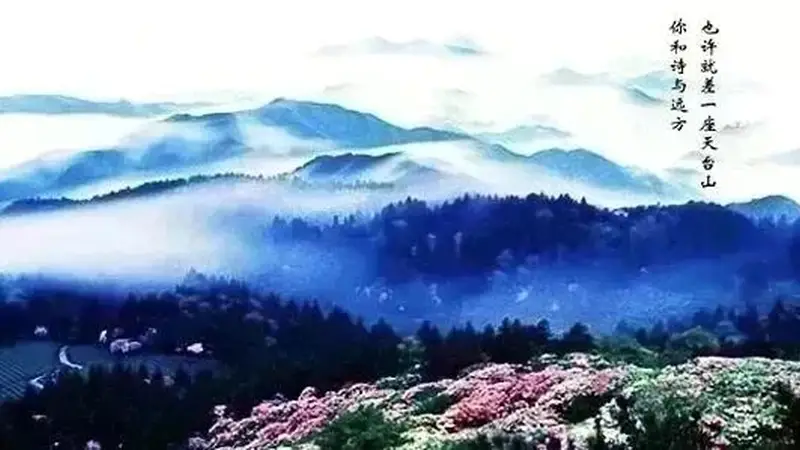 天台留白馆：03年姑娘返乡开的治愈茶馆，品味本土韵味