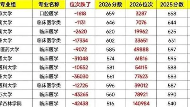 古城新韵:当医路遇冷时,城市里的动物医学为何成为文艺青年新选择