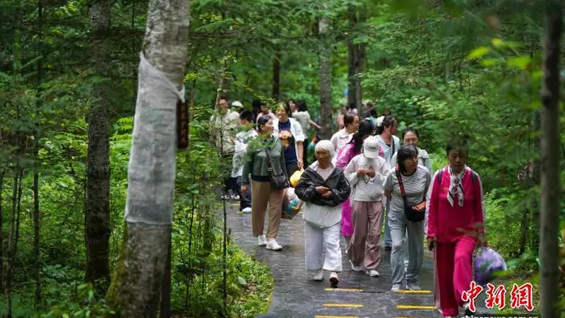 伊春汤旺河林海奇石：22℃凉夏里的文艺避暑胜地
