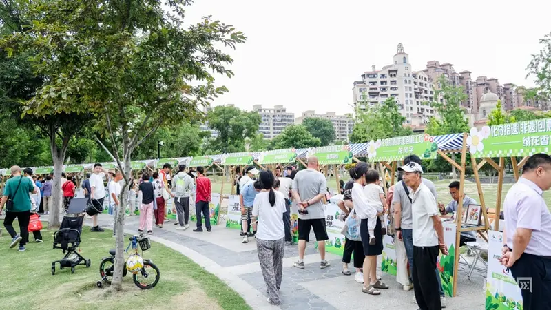 上海松江九里亭街道：打造全龄友好夏日文化矩阵，提升居民获得感与幸福感
