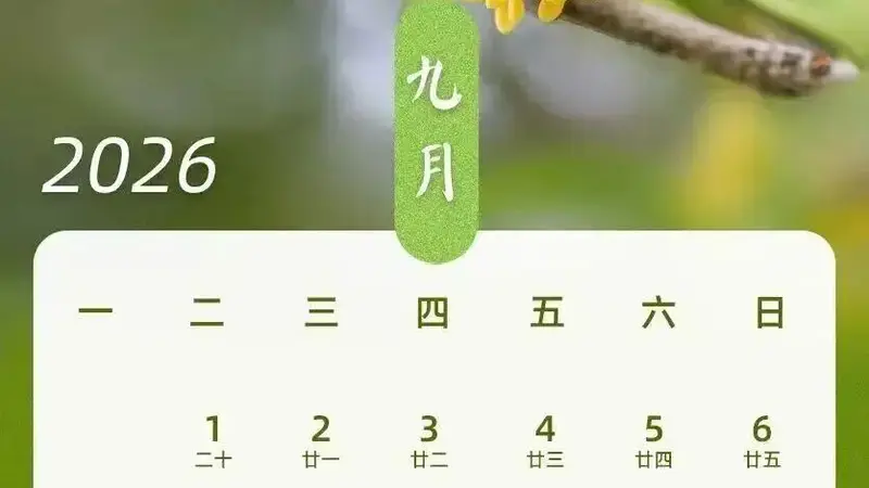 最新放假通知!