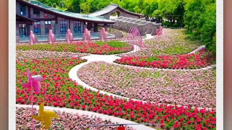 在光禄玫瑰古镇，“花”点时间丨有一种叫云南的生活之365天