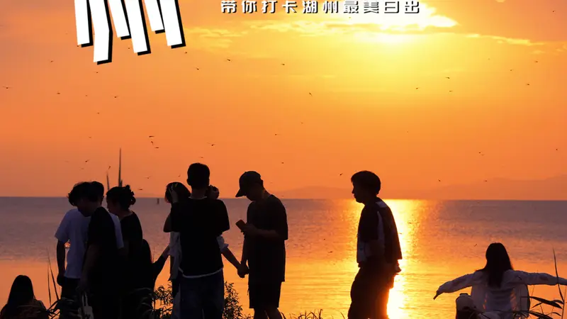 带上“毛孩子”出发湖州！